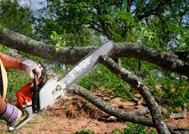 Best Tree Removal Services  in Sandston, VA